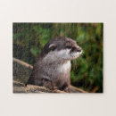 Search for cute otter puzzles Water