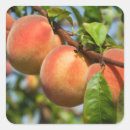 Search for breeders stickers Farmer