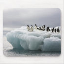 Search for antarctica electronics No people