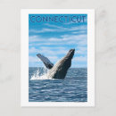 Search for original stamps posters Collection