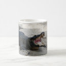 Search for alligator coffee mugs Florida