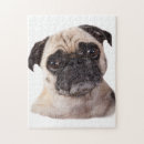 Search for pug puzzles Animal