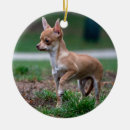 Search for brown dog christmas tree decorations Adorable