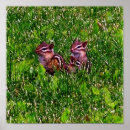 Search for nature pencil drawing art Animal