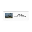 Search for wetlands return address labels Great blue heron
