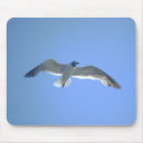 Search for in flight mousepads Seagull