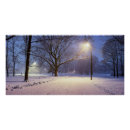 Search for snow covered trees posters Winter