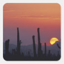 Search for saguaro cactus stickers Plant
