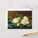 Search for giant flower postcards Martin johnson heade