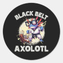 Search for karate belt stickers Jiu jitsu