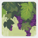 Search for grape illustration stickers Fruit