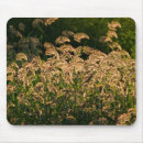Search for bend mousepads Usa