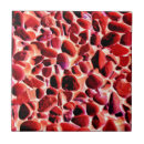 Search for beach pebbles tiles Seaside