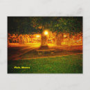 Search for banyan postcards Hawaii
