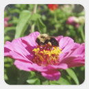 Search for pollen stickers Beautiful