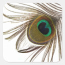 Search for colorful peacock stickers Bird