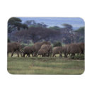 Search for habitat magnets Environment
