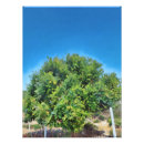 Search for lush posters Countryside