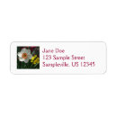 Search for yellow daffodils return address labels Nature
