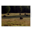 Search for bailing Fields