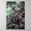 Search for weeding posters Plants