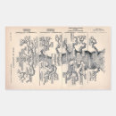 Search for darwin stickers History