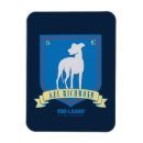 Search for team magnets Futbol