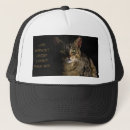 Search for funny cat hats Kitty