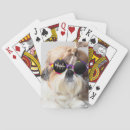 Search for cool playing cards Animals
