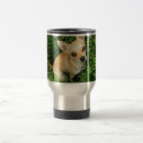 Search for chihuahuas travel mugs Cute