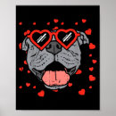 Search for pitbull posters Lover