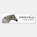 Search for andalusian horse Andalusians