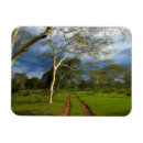 Search for on track magnets Colour image