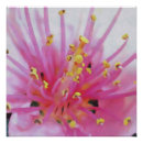 Search for macro art Floral