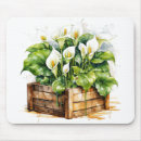 Search for day lily mousepads Lilies