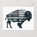 Search for buffalo postcards Rustic