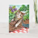 Search for napping cards Sleep