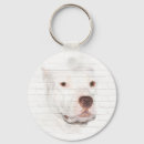 Search for white face key rings Dog