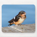 Search for barn mousepads Bird
