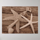 Search for shell art Wood