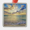 Search for aruba christmas tree decorations Coast