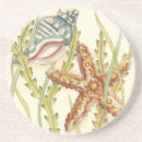 Search for sea shell coasters Chariklia zarris