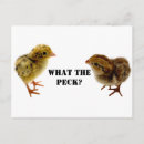 Search for easter baby postcards Chicks