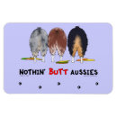 Search for aussies magnets Australian shepherd