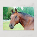 Search for mares postcards Chestnut