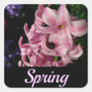 Search for hyacinth stickers Floral