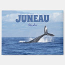 Search for alaska magnets Souvenir
