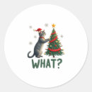 Search for push stickers Cat