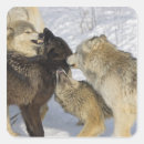 Search for interacting stickers Communication