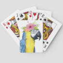 Search for parrot playing cards Birds
